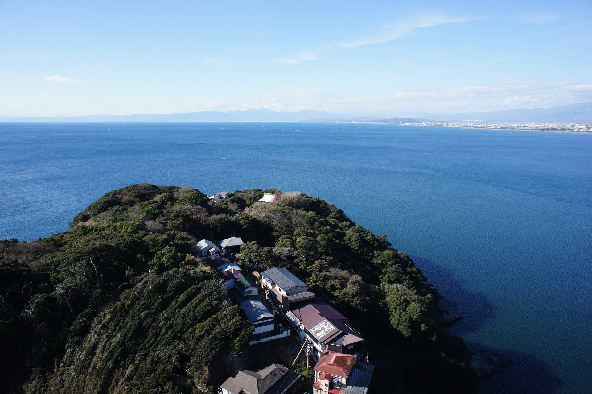 リアリティー 藤沢